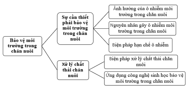 Giáo án Công nghệ 11 Kết nối tri thức Ôn tập chương 6