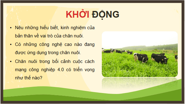 Giáo án điện tử Công nghệ 11 Kết nối tri thức Bài 1: Vai trò và triển vọng của chăn nuôi | PPT Công nghệ 11