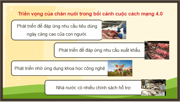 Giáo án điện tử Công nghệ 11 Kết nối tri thức Bài 1: Vai trò và triển vọng của chăn nuôi | PPT Công nghệ 11