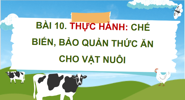 Giáo án điện tử Công nghệ 11 Kết nối tri thức Bài 10: Thực hành: Chế biến, bảo quản thức ăn cho vật nuôi | PPT Công nghệ 11