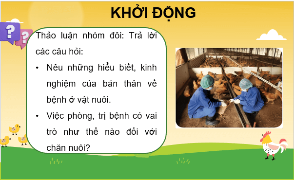 Giáo án điện tử Công nghệ 11 Kết nối tri thức Bài 11: Vai trò của phòng, trị bệnh trong chăn nuôi | PPT Công nghệ 11