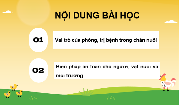 Giáo án điện tử Công nghệ 11 Kết nối tri thức Bài 11: Vai trò của phòng, trị bệnh trong chăn nuôi | PPT Công nghệ 11