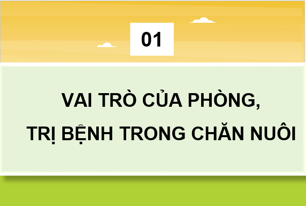 Giáo án điện tử Công nghệ 11 Kết nối tri thức Bài 11: Vai trò của phòng, trị bệnh trong chăn nuôi | PPT Công nghệ 11