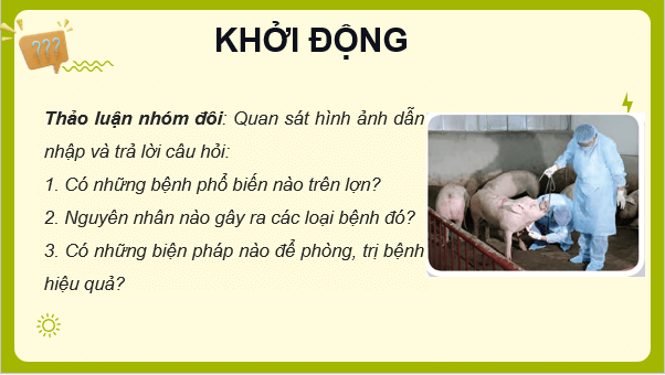 Giáo án điện tử Công nghệ 11 Kết nối tri thức Bài 12: Một số bệnh phổ biến ở lợn và biện pháp phòng, trị bệnh | PPT Công nghệ 11