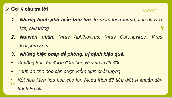 Giáo án điện tử Công nghệ 11 Kết nối tri thức Bài 12: Một số bệnh phổ biến ở lợn và biện pháp phòng, trị bệnh | PPT Công nghệ 11