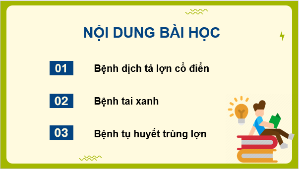 Giáo án điện tử Công nghệ 11 Kết nối tri thức Bài 12: Một số bệnh phổ biến ở lợn và biện pháp phòng, trị bệnh | PPT Công nghệ 11