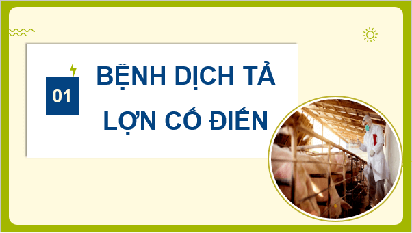 Giáo án điện tử Công nghệ 11 Kết nối tri thức Bài 12: Một số bệnh phổ biến ở lợn và biện pháp phòng, trị bệnh | PPT Công nghệ 11