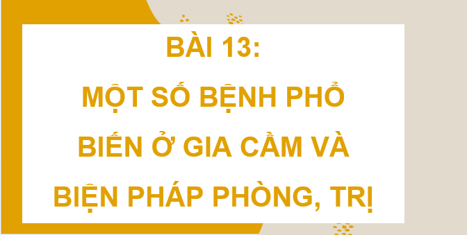 Giáo án điện tử Công nghệ 11 Kết nối tri thức Bài 13: Một số bệnh phổ biến ở gia cầm và biện pháp phòng, trị bệnh | PPT Công nghệ 11