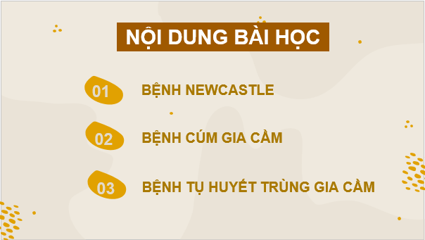 Giáo án điện tử Công nghệ 11 Kết nối tri thức Bài 13: Một số bệnh phổ biến ở gia cầm và biện pháp phòng, trị bệnh | PPT Công nghệ 11