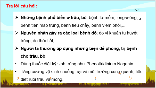 Giáo án điện tử Công nghệ 11 Kết nối tri thức Bài 14: Một số bệnh phổ biến ở trâu, bò và biện pháp phòng, trị | PPT Công nghệ 11