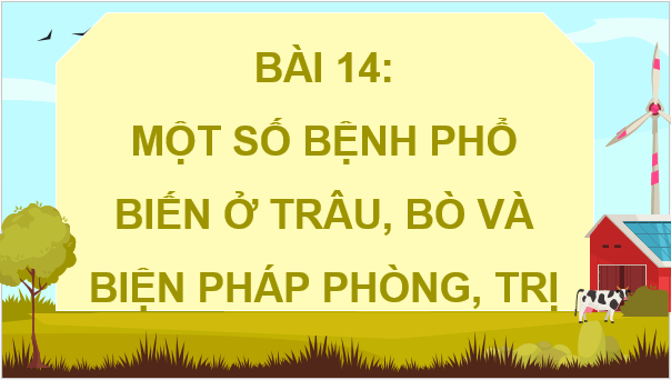 Giáo án điện tử Công nghệ 11 Kết nối tri thức Bài 14: Một số bệnh phổ biến ở trâu, bò và biện pháp phòng, trị | PPT Công nghệ 11