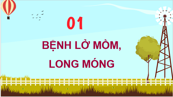 Giáo án điện tử Công nghệ 11 Kết nối tri thức Bài 14: Một số bệnh phổ biến ở trâu, bò và biện pháp phòng, trị | PPT Công nghệ 11