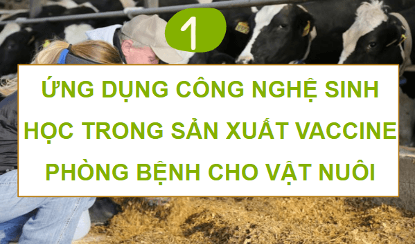 Giáo án điện tử Công nghệ 11 Kết nối tri thức Bài 15: Ứng dụng công nghệ sinh học trong phòng, trị bệnh vật nuôi | PPT Công nghệ 11