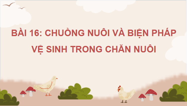 Giáo án điện tử Công nghệ 11 Kết nối tri thức Bài 16: Chuồng nuôi và biện pháp vệ sinh trong chăn nuôi | PPT Công nghệ 11