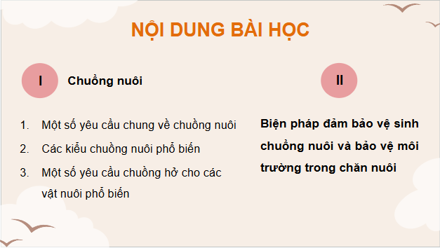 Giáo án điện tử Công nghệ 11 Kết nối tri thức Bài 16: Chuồng nuôi và biện pháp vệ sinh trong chăn nuôi | PPT Công nghệ 11