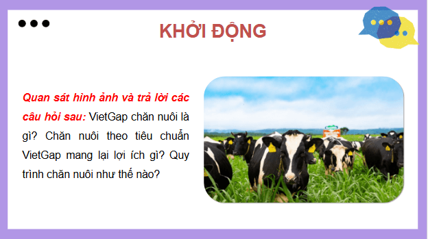 Giáo án điện tử Công nghệ 11 Kết nối tri thức Bài 18: Chăn nuôi theo tiêu chuẩn Vietgap | PPT Công nghệ 11