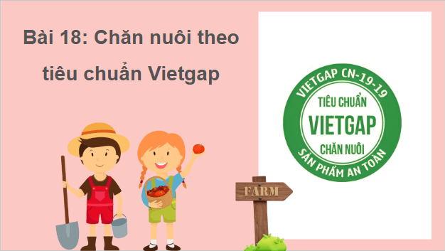 Giáo án điện tử Công nghệ 11 Kết nối tri thức Bài 18: Chăn nuôi theo tiêu chuẩn Vietgap | PPT Công nghệ 11