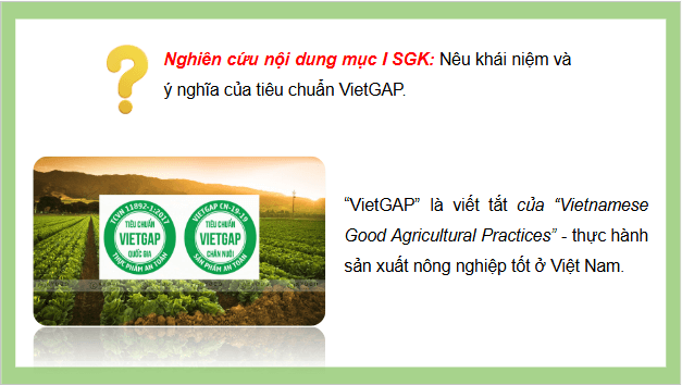 Giáo án điện tử Công nghệ 11 Kết nối tri thức Bài 18: Chăn nuôi theo tiêu chuẩn Vietgap | PPT Công nghệ 11