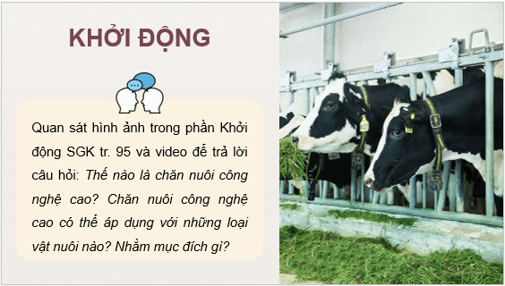 Giáo án điện tử Công nghệ 11 Kết nối tri thức Bài 19: Chăn nuôi công nghệ cao | PPT Công nghệ 11