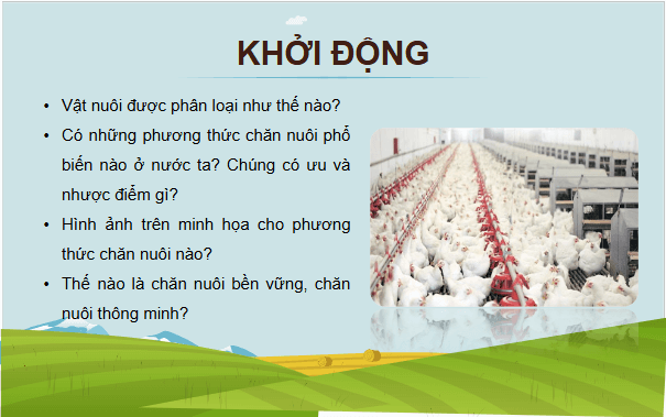 Giáo án điện tử Công nghệ 11 Kết nối tri thức Bài 2: Vật nuôi và phương thức chăn nuôi | PPT Công nghệ 11