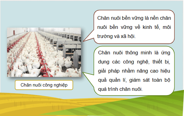 Giáo án điện tử Công nghệ 11 Kết nối tri thức Bài 2: Vật nuôi và phương thức chăn nuôi | PPT Công nghệ 11