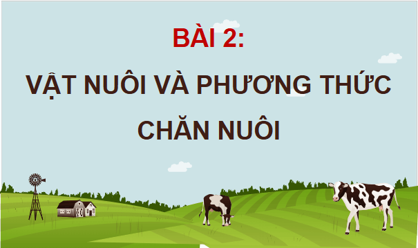 Giáo án điện tử Công nghệ 11 Kết nối tri thức Bài 2: Vật nuôi và phương thức chăn nuôi | PPT Công nghệ 11