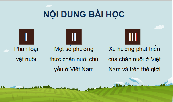 Giáo án điện tử Công nghệ 11 Kết nối tri thức Bài 2: Vật nuôi và phương thức chăn nuôi | PPT Công nghệ 11