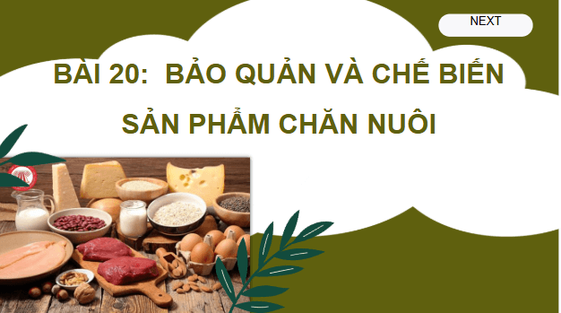 Giáo án điện tử Công nghệ 11 Kết nối tri thức Bài 20: Bảo quản và chế biến sản phẩm chăn nuôi | PPT Công nghệ 11