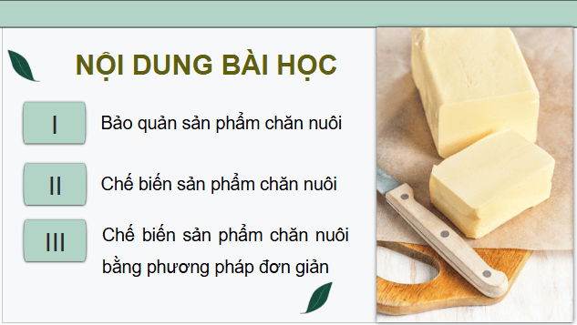 Giáo án điện tử Công nghệ 11 Kết nối tri thức Bài 20: Bảo quản và chế biến sản phẩm chăn nuôi | PPT Công nghệ 11