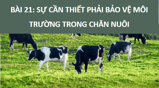 Giáo án điện tử Công nghệ 11 Kết nối tri thức Bài 21: Sự cần thiết phải bảo vệ môi trường trong chăn nuôi | PPT Công nghệ 11