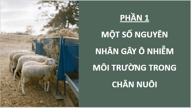 Giáo án điện tử Công nghệ 11 Kết nối tri thức Bài 21: Sự cần thiết phải bảo vệ môi trường trong chăn nuôi | PPT Công nghệ 11