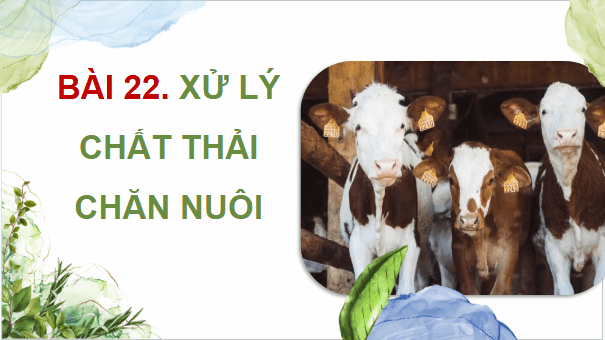 Giáo án điện tử Công nghệ 11 Kết nối tri thức Bài 22: Xử lí chất thải chăn nuôi | PPT Công nghệ 11