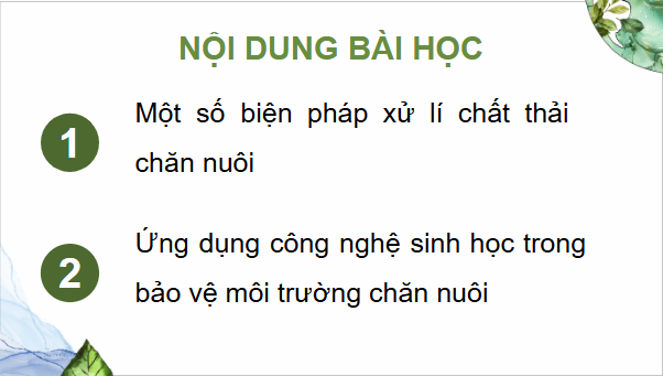 Giáo án điện tử Công nghệ 11 Kết nối tri thức Bài 22: Xử lí chất thải chăn nuôi | PPT Công nghệ 11