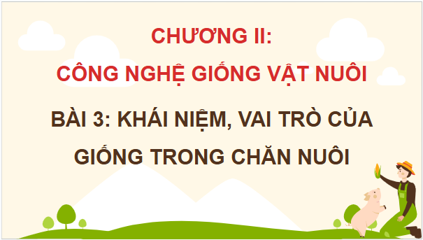 Giáo án điện tử Công nghệ 11 Kết nối tri thức Bài 3: Khái niệm, vai trò của giống trong chăn nuôi | PPT Công nghệ 11