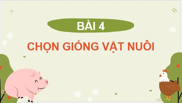 Giáo án điện tử Công nghệ 11 Kết nối tri thức Bài 4: Chọn giống vật nuôi | PPT Công nghệ 11