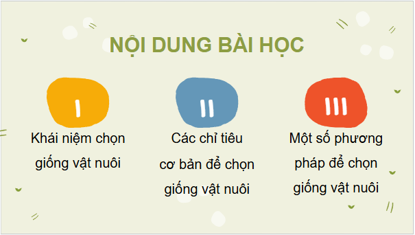 Giáo án điện tử Công nghệ 11 Kết nối tri thức Bài 4: Chọn giống vật nuôi | PPT Công nghệ 11