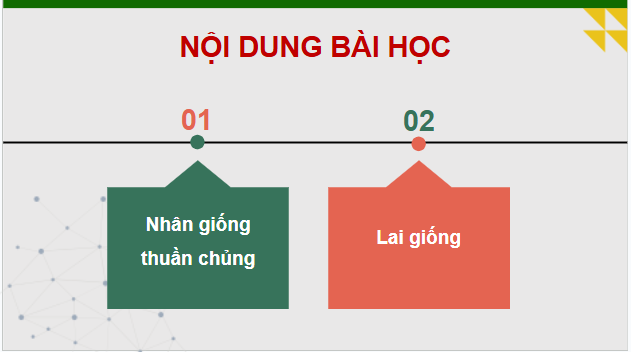 Giáo án điện tử Công nghệ 11 Kết nối tri thức Bài 5: Nhân giống vật nuôi | PPT Công nghệ 11