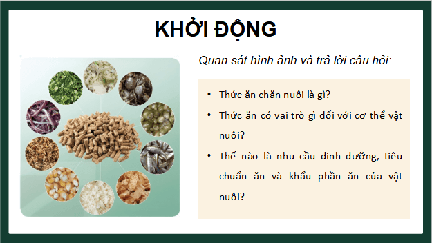 Giáo án điện tử Công nghệ 11 Kết nối tri thức Bài 7: Thức ăn và nhu cầu dinh dưỡng của vật nuôi | PPT Công nghệ 11