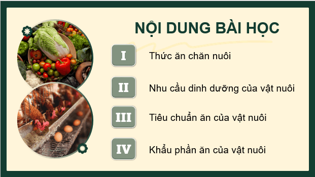 Giáo án điện tử Công nghệ 11 Kết nối tri thức Bài 7: Thức ăn và nhu cầu dinh dưỡng của vật nuôi | PPT Công nghệ 11