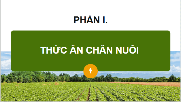 Giáo án điện tử Công nghệ 11 Kết nối tri thức Bài 7: Thức ăn và nhu cầu dinh dưỡng của vật nuôi | PPT Công nghệ 11