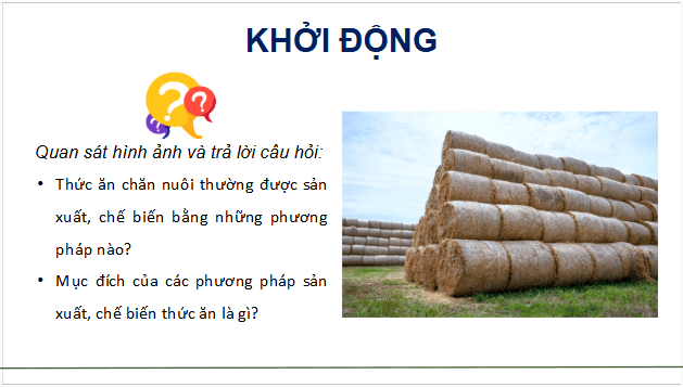 Giáo án điện tử Công nghệ 11 Kết nối tri thức Bài 8: Sản xuất và chế biến thức ăn chăn nuôi | PPT Công nghệ 11