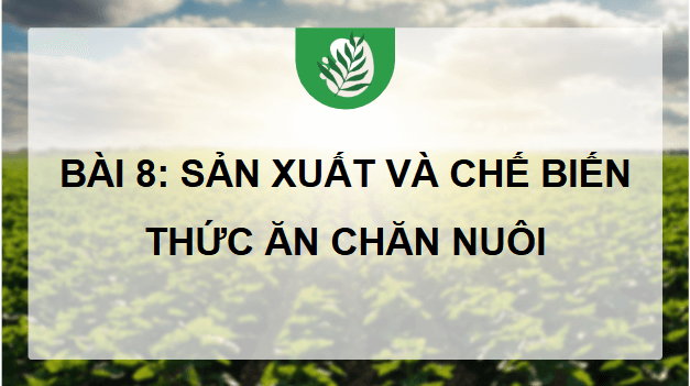 Giáo án điện tử Công nghệ 11 Kết nối tri thức Bài 8: Sản xuất và chế biến thức ăn chăn nuôi | PPT Công nghệ 11