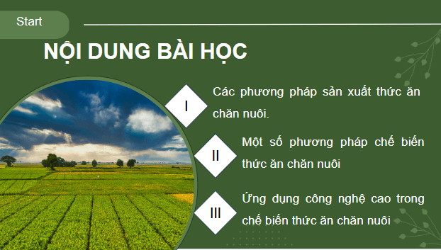 Giáo án điện tử Công nghệ 11 Kết nối tri thức Bài 8: Sản xuất và chế biến thức ăn chăn nuôi | PPT Công nghệ 11