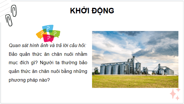 Giáo án điện tử Công nghệ 11 Kết nối tri thức Bài 9: Bảo quản thức ăn chăn nuôi | PPT Công nghệ 11