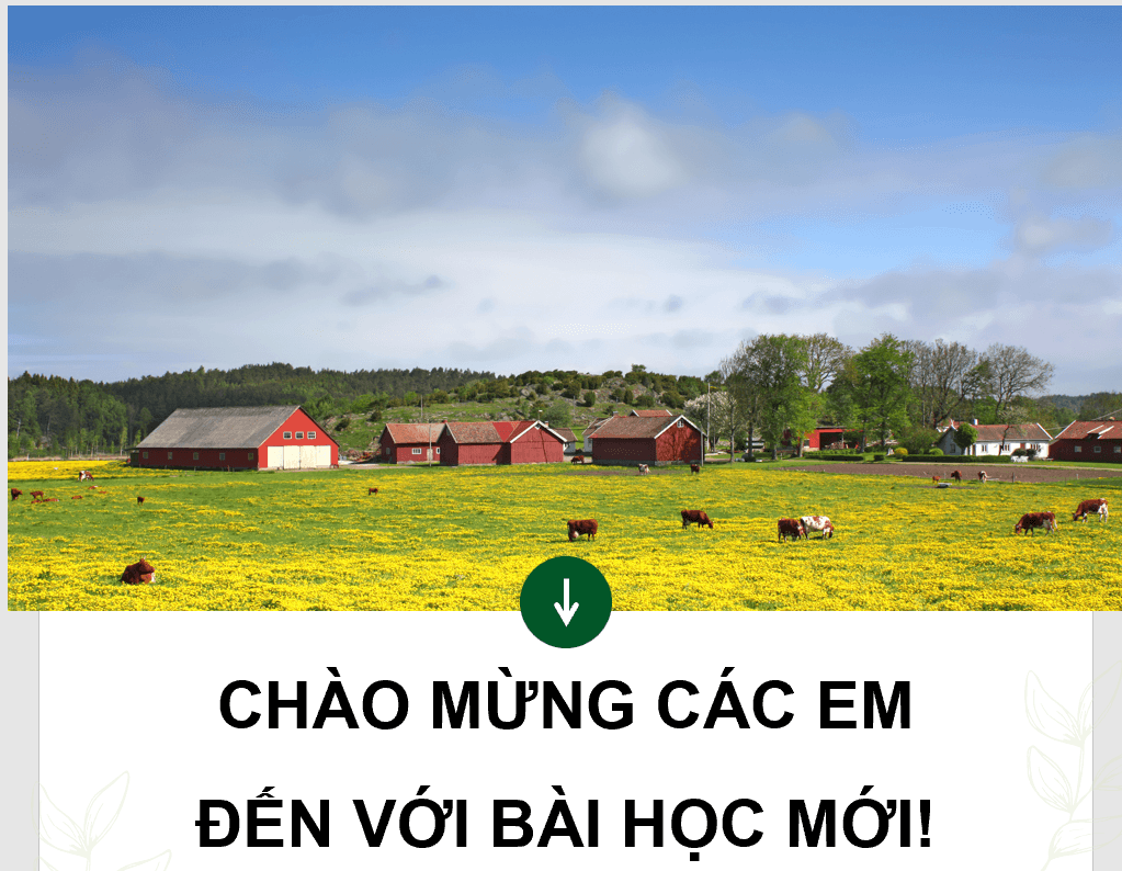 Giáo án điện tử Chuyên đề Công nghệ 11 Kết nối tri thức Bài 1: Bài mở đầu | PPT Chuyên đề Công nghệ 11