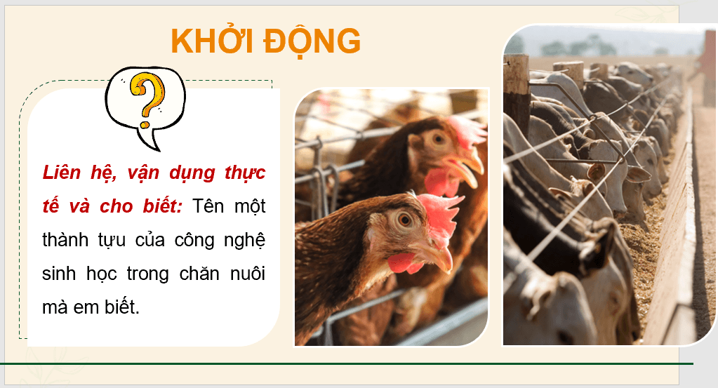 Giáo án điện tử Chuyên đề Công nghệ 11 Kết nối tri thức Bài 1: Bài mở đầu | PPT Chuyên đề Công nghệ 11