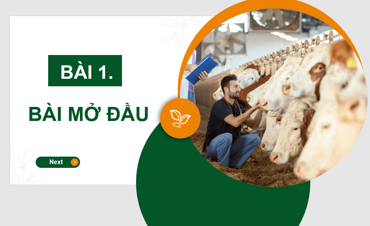 Giáo án điện tử Chuyên đề Công nghệ 11 Kết nối tri thức Bài 1: Bài mở đầu | PPT Chuyên đề Công nghệ 11