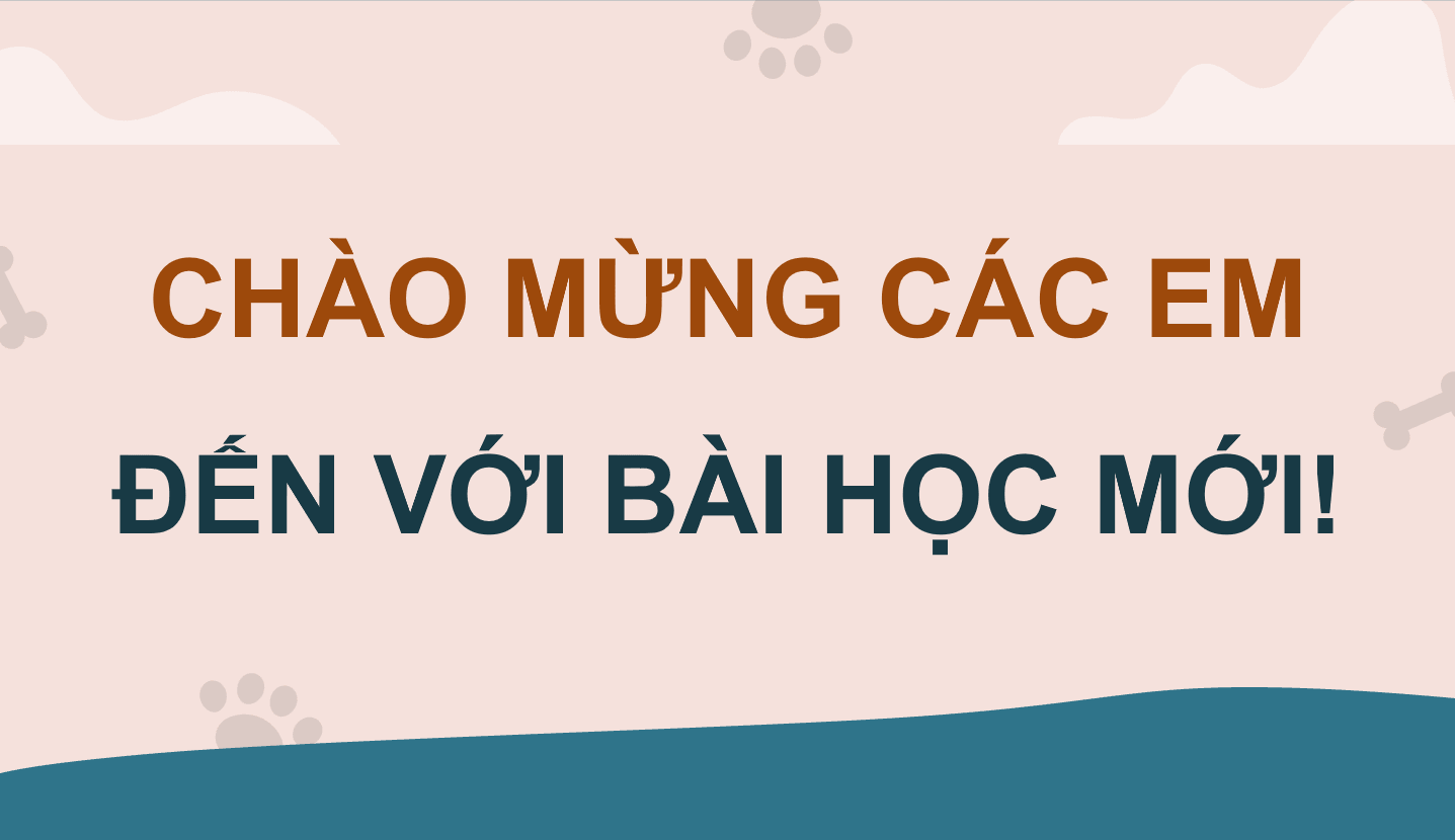 Giáo án điện tử Chuyên đề Công nghệ 11 Kết nối tri thức Bài 10: Chế biến thức ăn cho động vật cảnh | PPT Chuyên đề Công nghệ 11