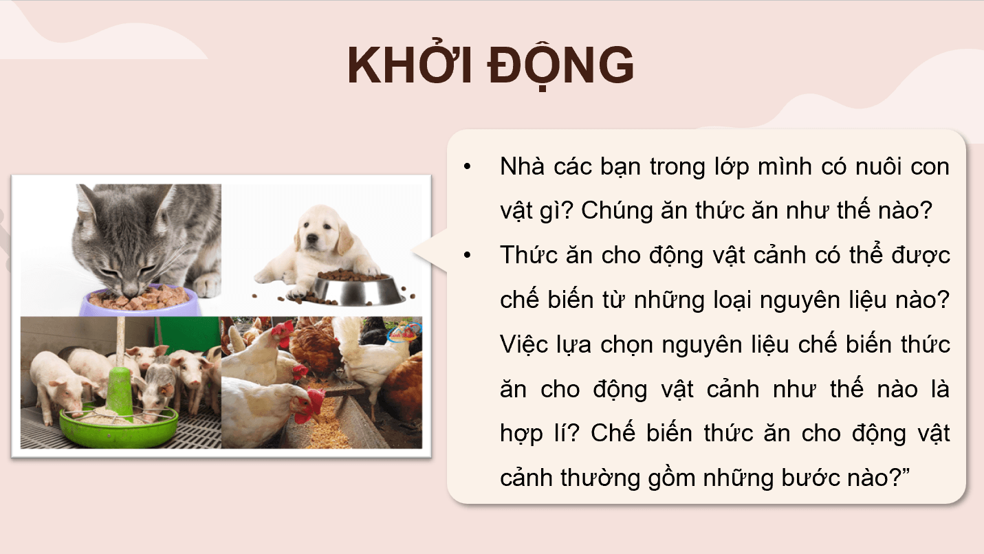 Giáo án điện tử Chuyên đề Công nghệ 11 Kết nối tri thức Bài 10: Chế biến thức ăn cho động vật cảnh | PPT Chuyên đề Công nghệ 11