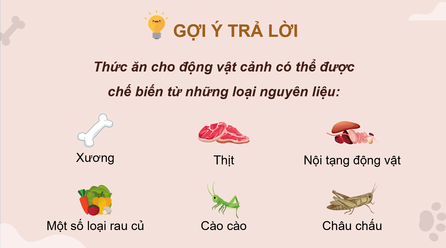 Giáo án điện tử Chuyên đề Công nghệ 11 Kết nối tri thức Bài 10: Chế biến thức ăn cho động vật cảnh | PPT Chuyên đề Công nghệ 11